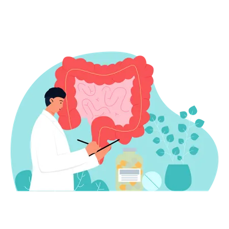 Gastroenterologista examinando relatório do intestino  Ilustração