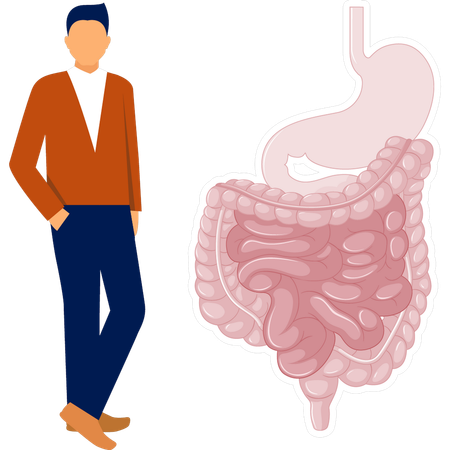 Médico examinando os intestinos  Ilustração