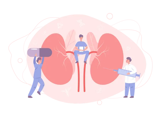 Médico faz exame renal  Ilustração