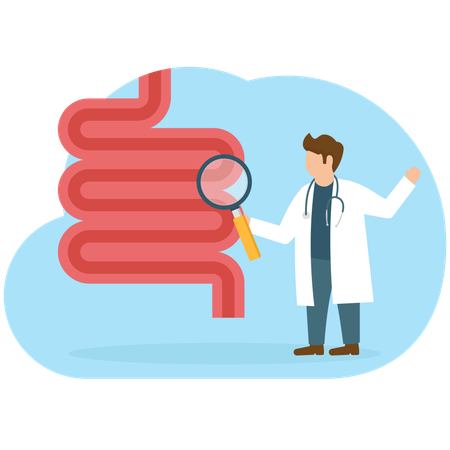 Médico fazendo pesquisa sobre intestinos  Ilustração