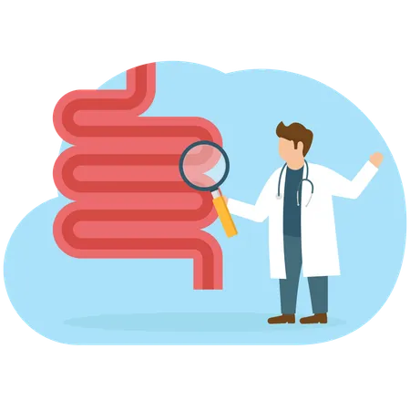 Médico fazendo pesquisa sobre intestinos  Ilustração