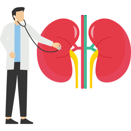 Médico fazendo tratamento renal  Ilustração