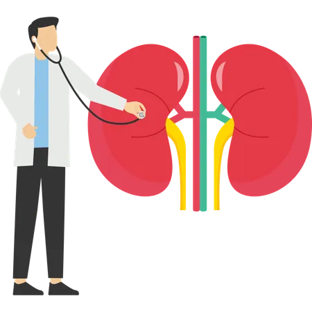 Médico fazendo tratamento renal  Ilustração