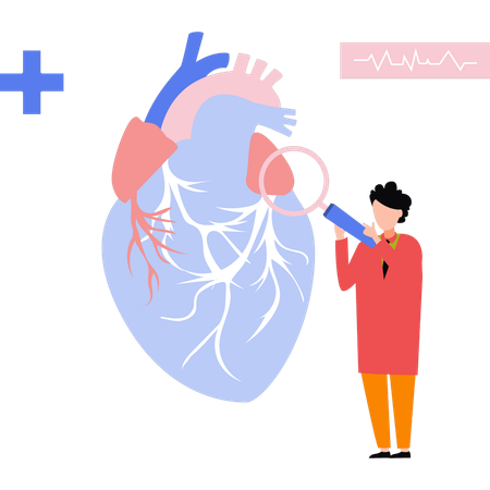 Médico pesquisando o modelo de coração  Ilustração