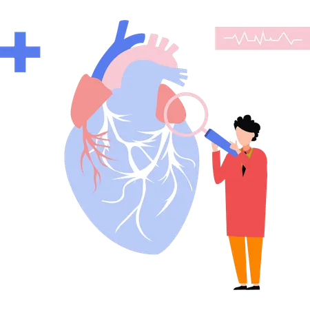 Médico pesquisando o modelo de coração  Ilustração
