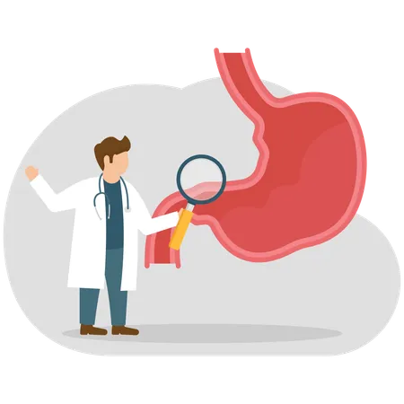 Médico varón haciendo una investigación sobre el estómago  Ilustración