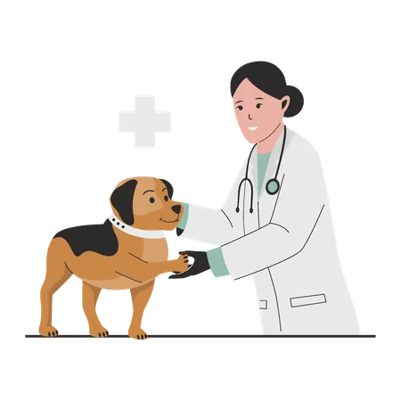 Médico veterinário verificando cachorro  Ilustração