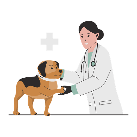 Médico veterinario control perro  Ilustración