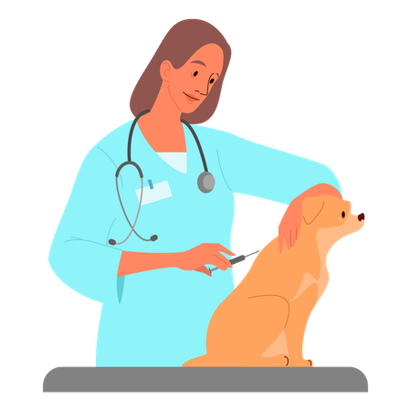 Médico veterinario vacunando a su mascota  Ilustración