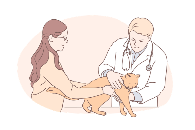 Médico veterinário está verificando cachorro de estimação  Ilustração