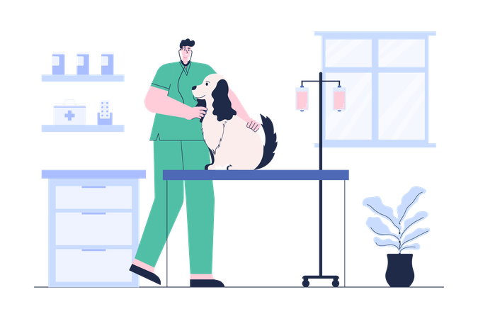 Médico veterinario examinando perro  Ilustración