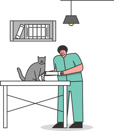 Médico veterinário tratando gato com lesão  Ilustração
