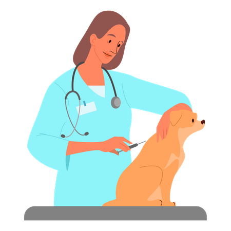 Médico veterinário dando vacinação para animais de estimação  Ilustração