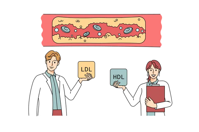 Los médicos muestran niveles de colesterol en vasos humanos  Ilustración