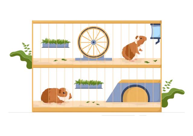 Meerschweinchen als Haustiere im Käfig  Illustration