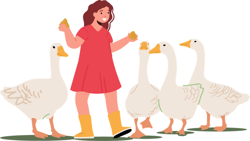 Menina alimentando patos com aves  Ilustração