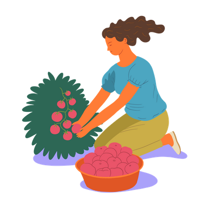 Garota coletando frutas  Ilustração