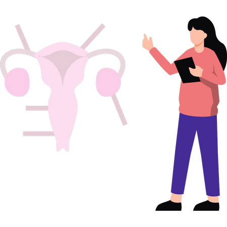 Menina examinando vagina  Ilustração