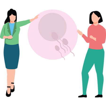 Meninas falando sobre fertilização com esperma  Ilustração