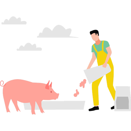 Menino alimentando porco  Ilustração
