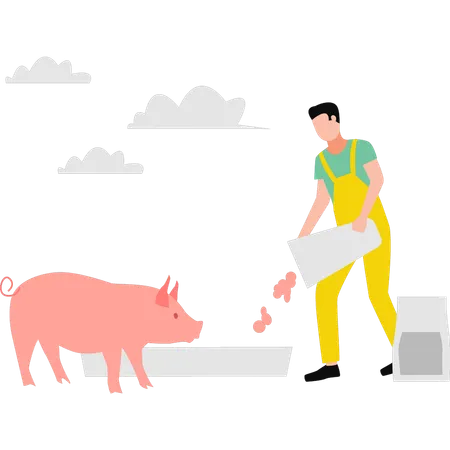Menino alimentando porco  Ilustração