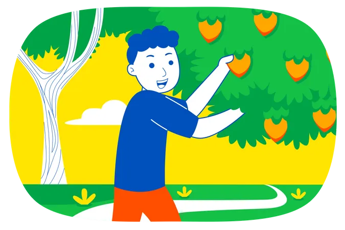 Menino coletando frutas das árvores  Ilustração