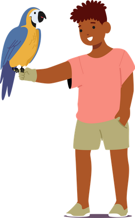 Menino com animal de estimação papagaio colorido  Ilustração