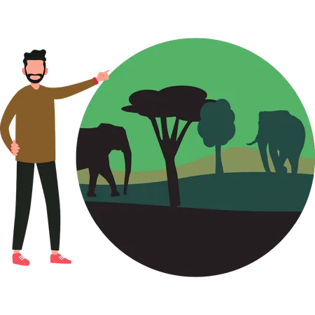 O menino está apontando para os elefantes na floresta  Ilustração