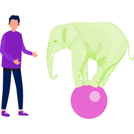 Menino mostrando elefante andando no futebol  Ilustração