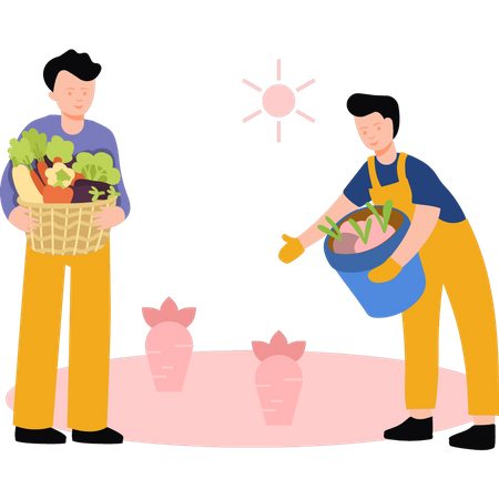 Meninos colhendo legumes do campo  Ilustração