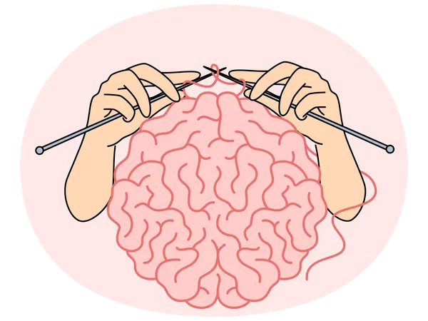 Menschliches Gehirn und Hände mit Stricknadeln als Metapher für die intellektuelle Entwicklung  Illustration