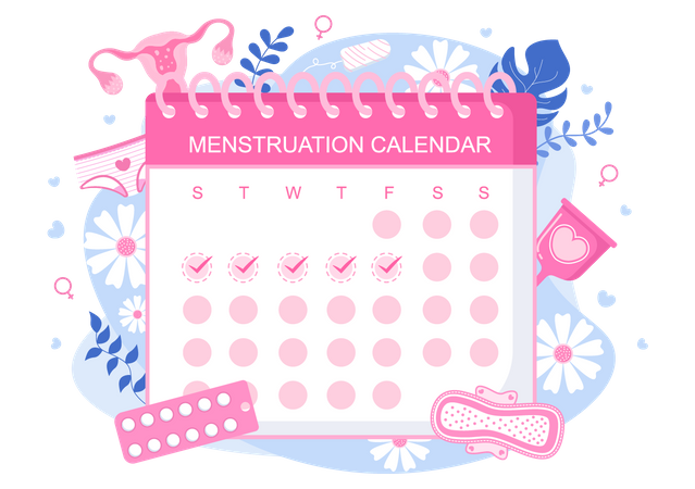 Menstruation Calendar Illustration