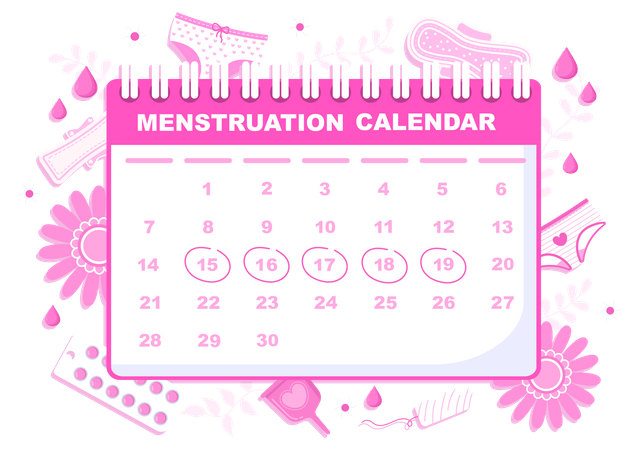 Menstruation Calendar  Illustration