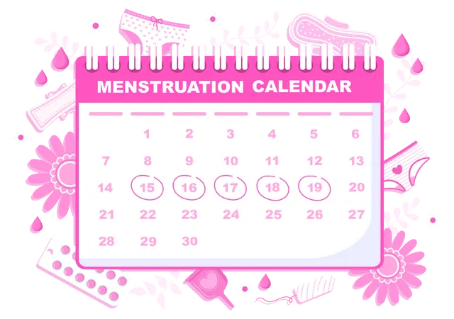 Menstruation Calendar  Illustration