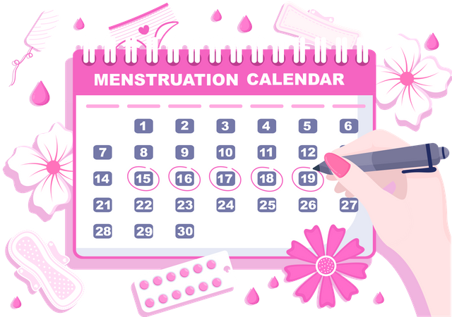 Menstruation Period Calendar  Illustration