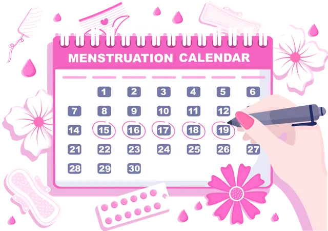 Menstruation Period Calendar  Illustration