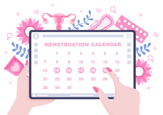 Menstruation Period Calendar  Illustration