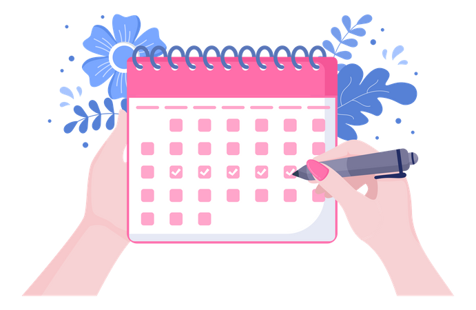 Menstruation Schedule  Illustration