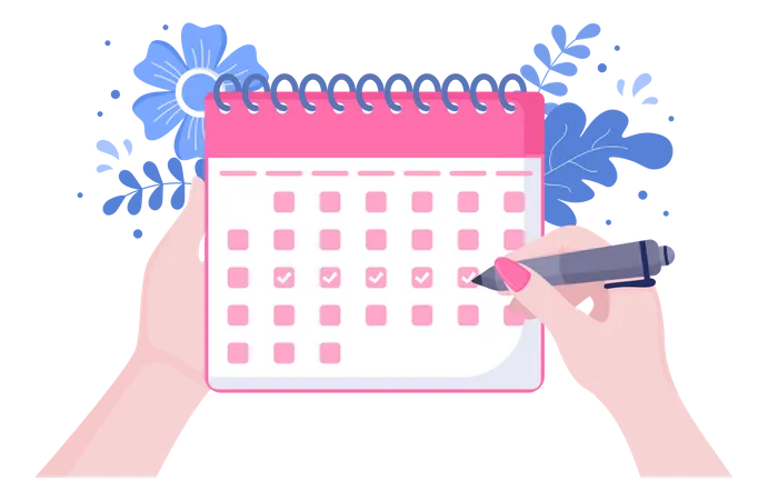 Menstruation Schedule  Illustration