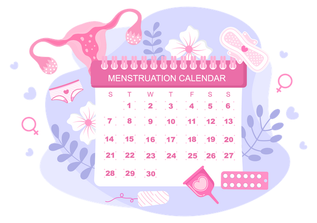 Menstruation Schedule  Illustration