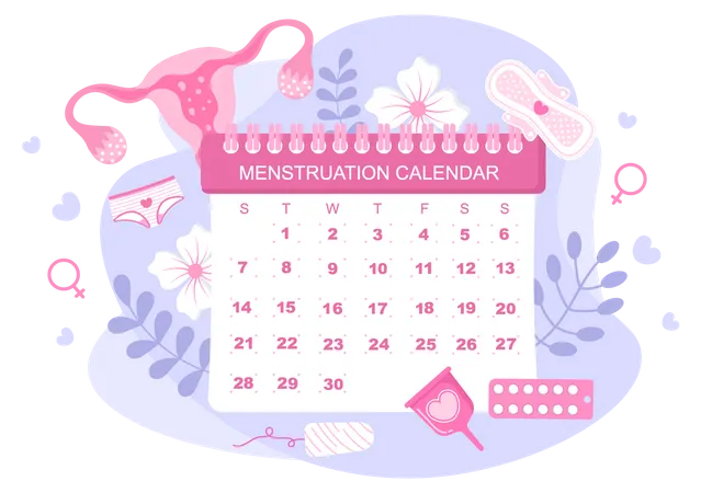 Menstruationskalender Fur Frauen Zur Uberprufung Des Datumszyklus Abbildung Der Weiblichen Fortpflanzungsorgane Damenbinde Und Medizin Illustration
