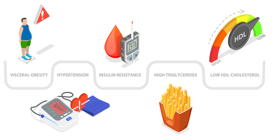 Metabolic Syndrome  Illustration