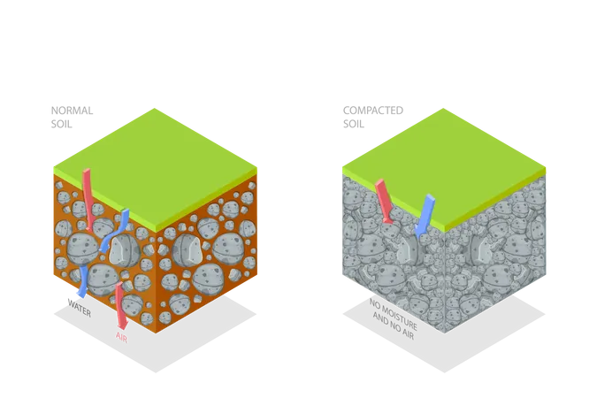 Méthode de compactage du sol  Illustration