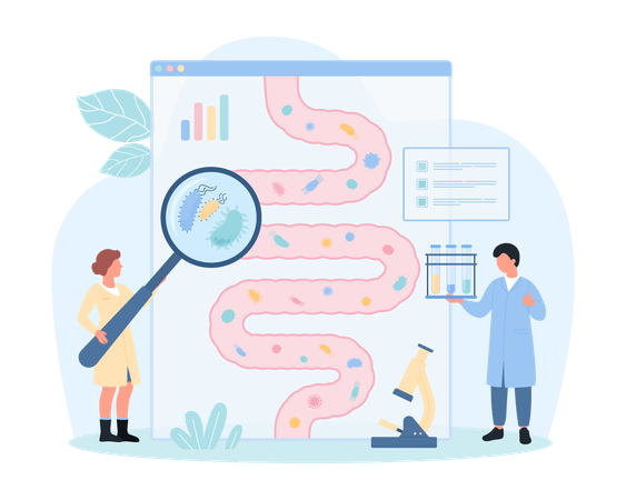 Microbioma intestinal saudável  Ilustração