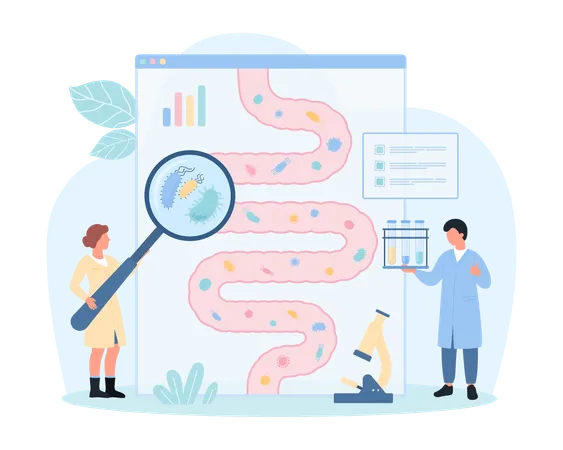 Microbioma intestinal saudável  Ilustração