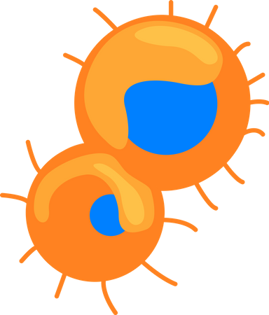 Microorganismos naranjas con núcleos azules.  Ilustración