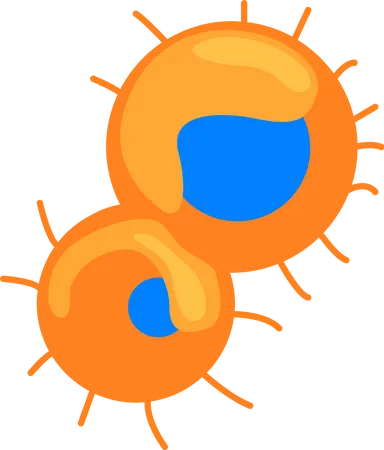 Microorganismos naranjas con núcleos azules.  Ilustración