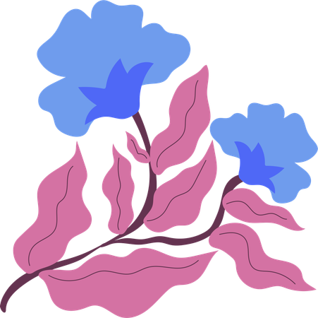 Midnight Moon Flower  Illustration