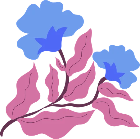 Midnight Moon Flower  Illustration