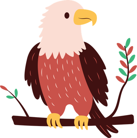 Aigle à tête blanche mignon  Illustration